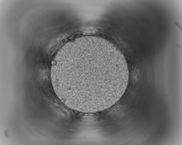 X0000103911445200810171654