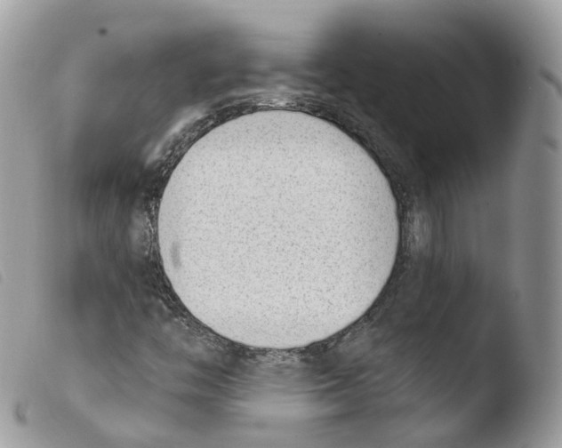 X0000103911446200810171654