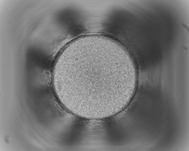 X0000103911449200810171654
