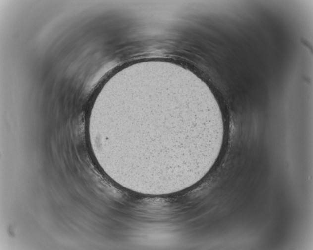 X0000103911450200810171654