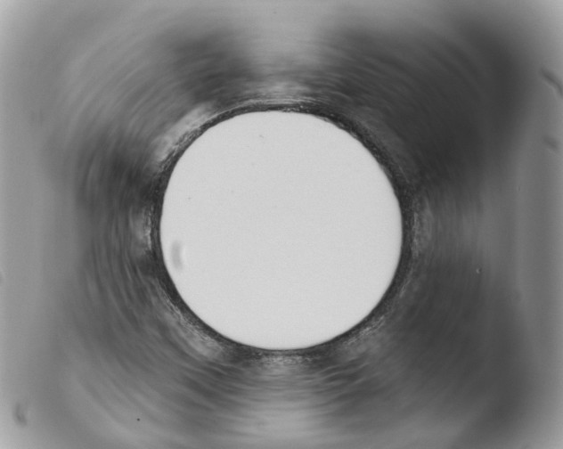X0000103911451200810171654