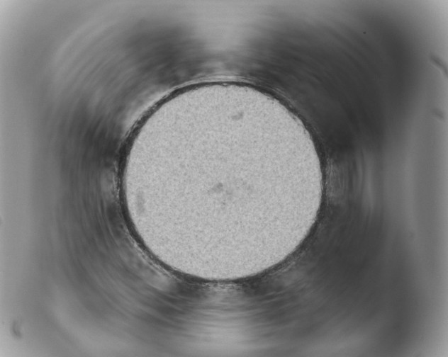 X0000103911452200810171654