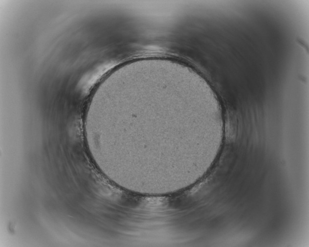 X0000103911453200810171654