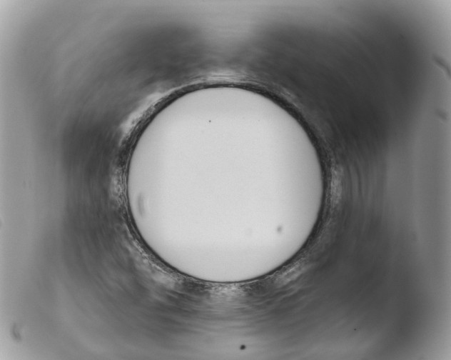 X0000103911454200810171654