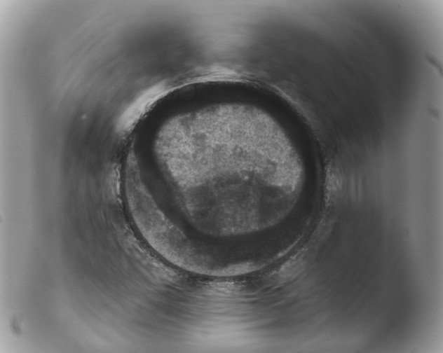 X0000103911455200810171654