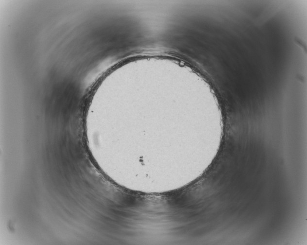 X0000103911456200810171654