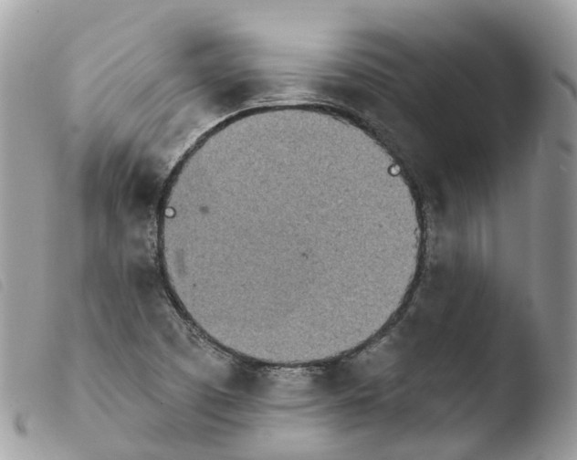 X0000103911457200810171654