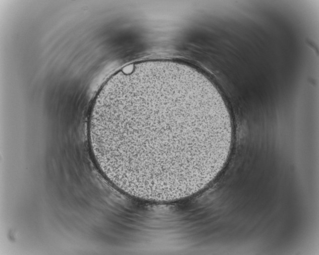 X0000103911459200810171654