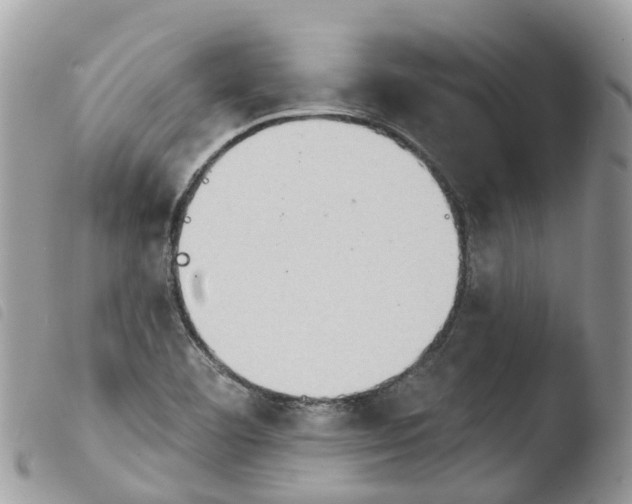 X0000103911460200810171654