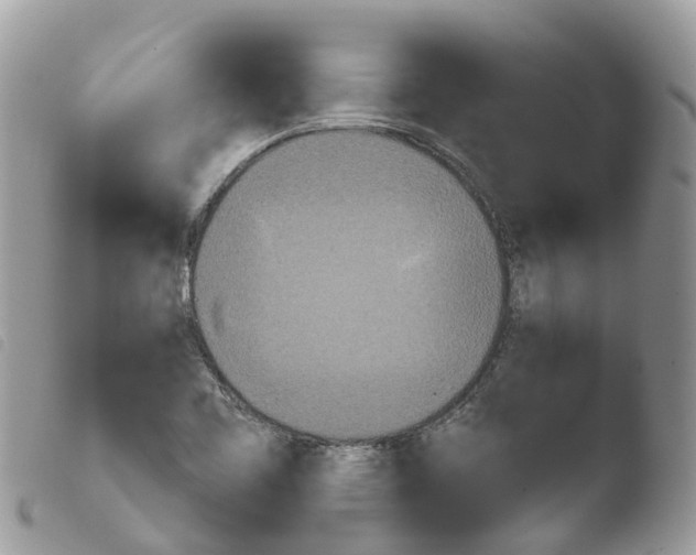 X0000103911461200810171654