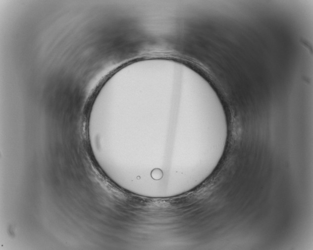 X0000103911462200810171654