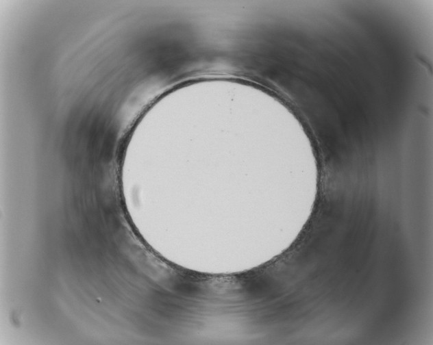 X0000103911464200810171654