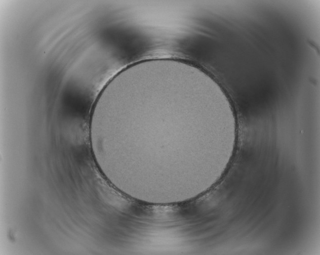 X0000103911465200810171654