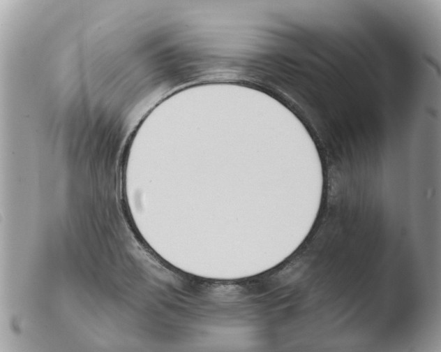 X0000103911467200810171654