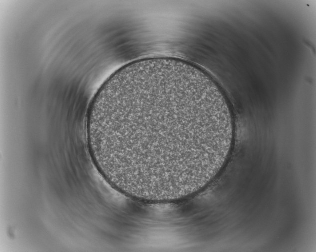 X0000103911468200810171654