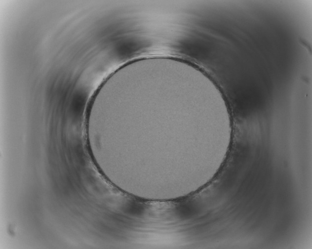 X0000103911469200810171654