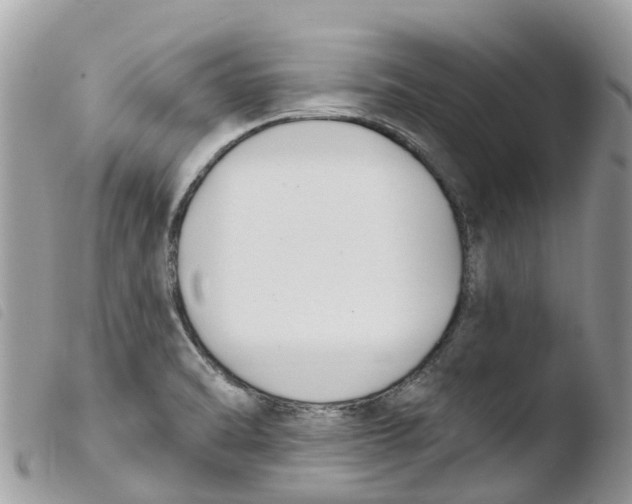 X0000103911470200810171654