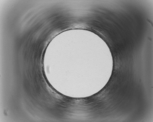 X0000103911471200810171654