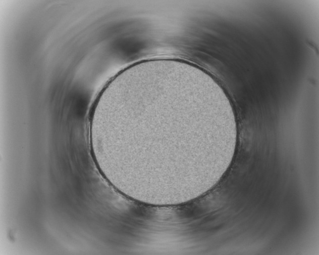 X0000103911472200810171654