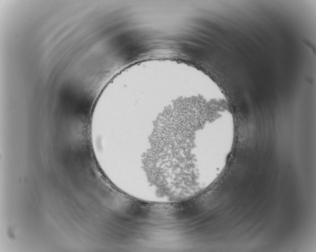 X0000103911473200810171654