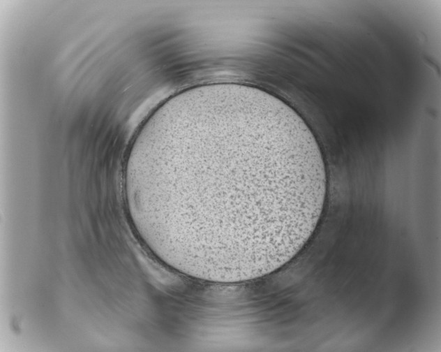 X0000103911474200810171654