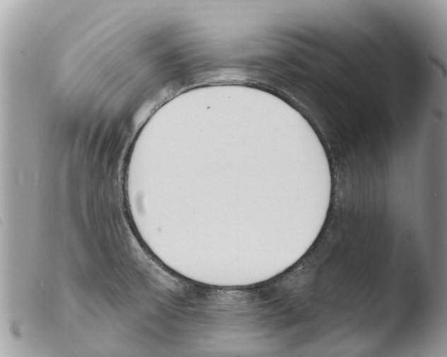 X0000103911475200810171654