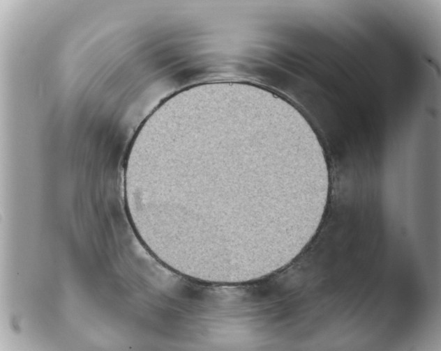 X0000103911476200810171653