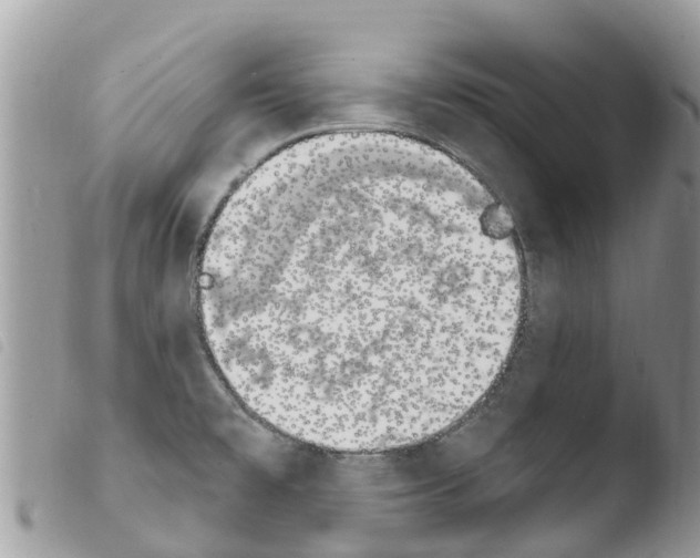 X0000103911477200810171653