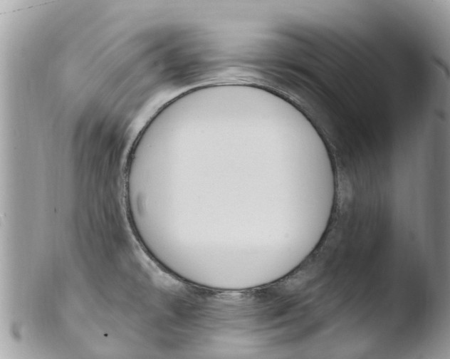 X0000103911478200810171653