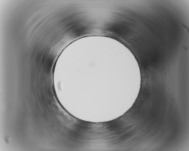X0000103911479200810171653