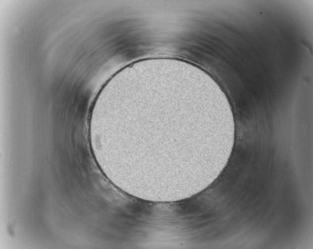 X0000103911480200810171653