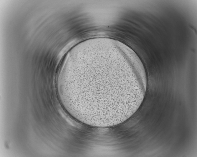 X0000103911482200810171653
