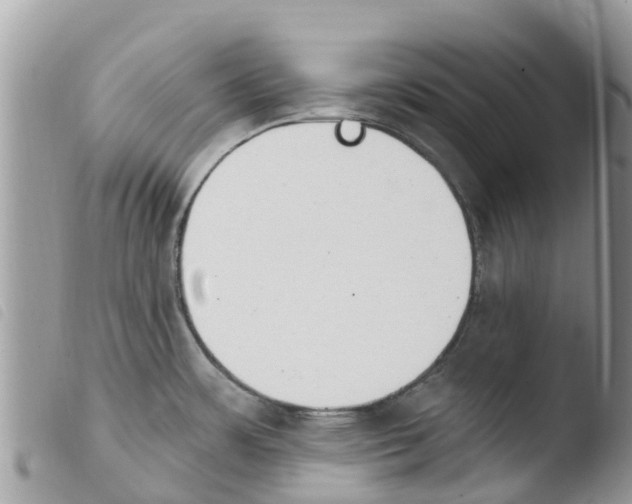 X0000103911483200810171653