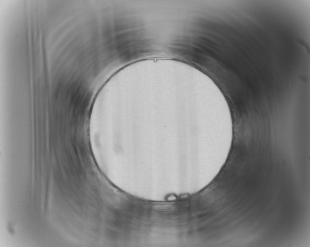 X0000103911484200810171653
