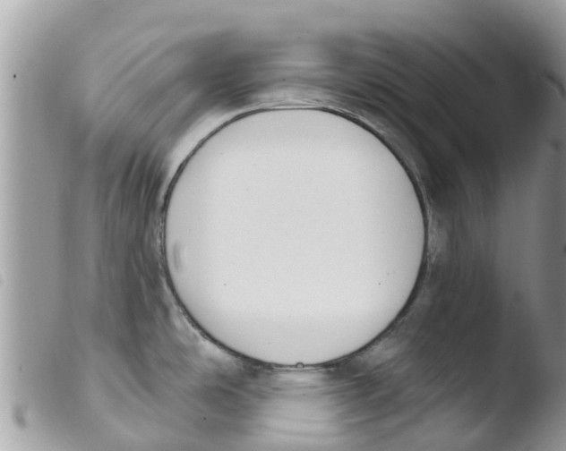 X0000103911486200810171653