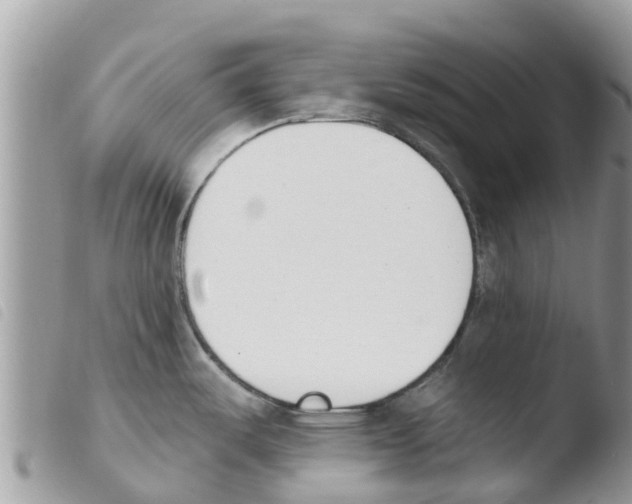 X0000103911487200810171653