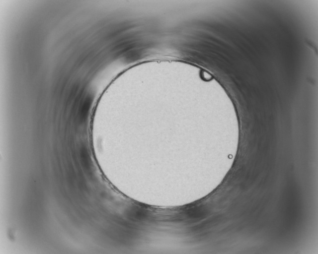 X0000103911488200810171653