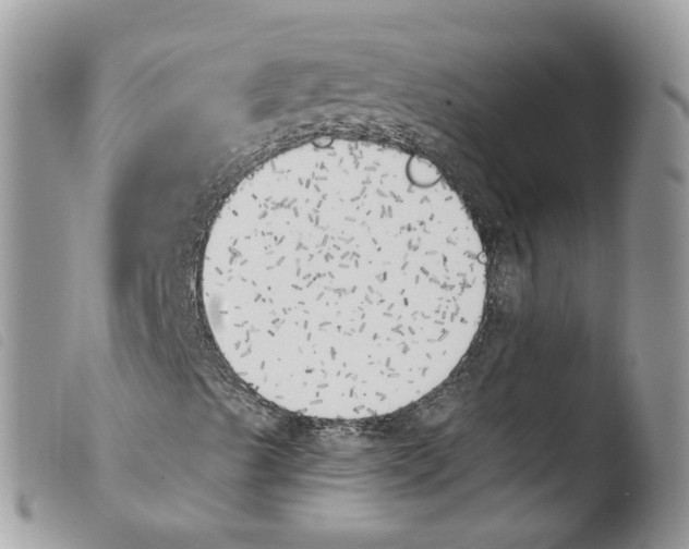 X0000103911489200810171652