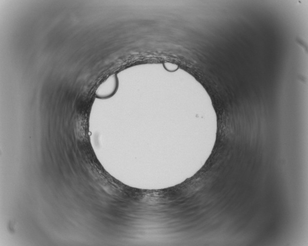 X0000103911490200810171653