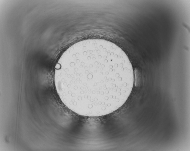 X0000103911491200810171653