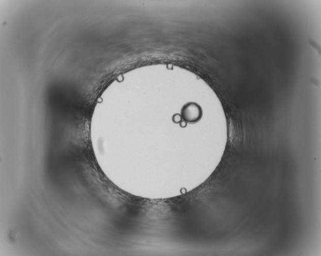 X0000103911492200810171653
