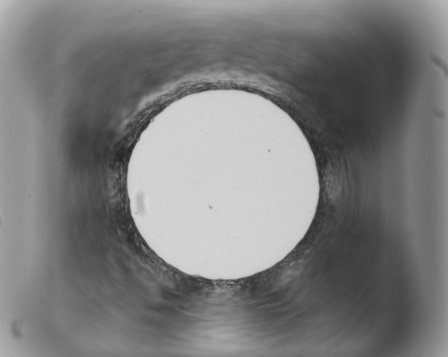 X0000103911494200810171653