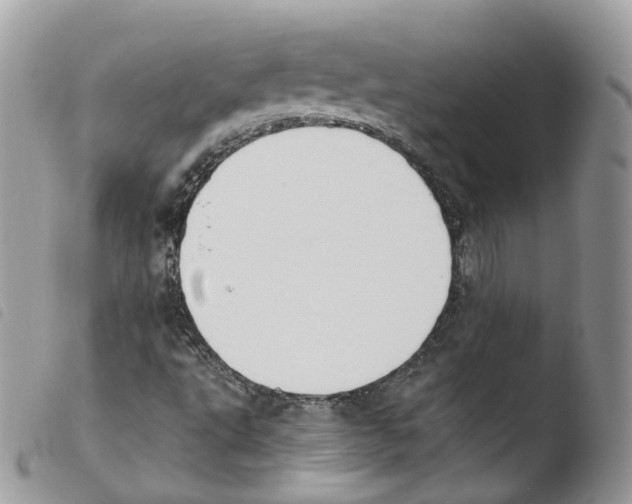 X0000103911495200810171653