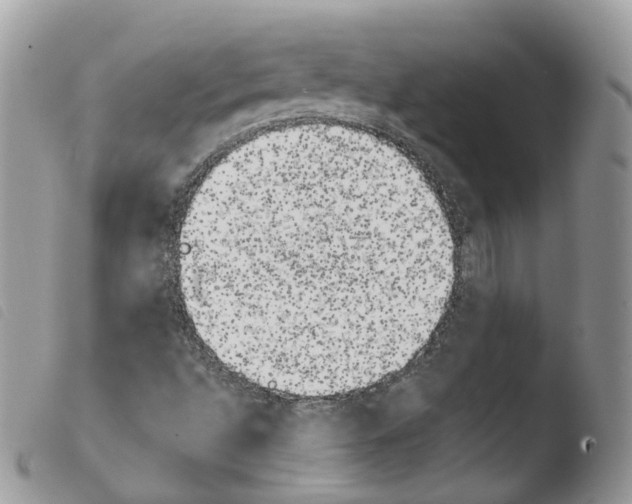 X0000103911496200810171653