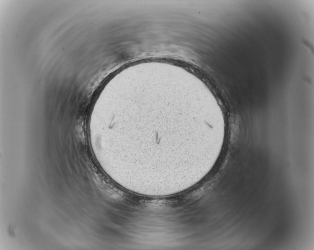 X0000103911497200810171653