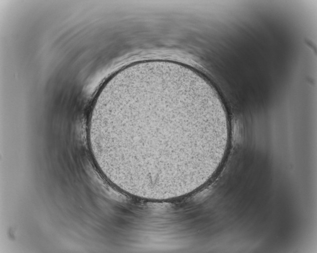 X0000103911498200810171653