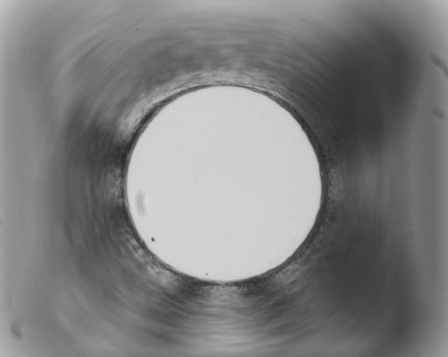 X0000103911499200810171653