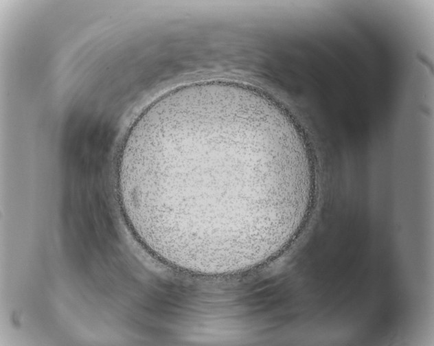 X0000103911500200810171653