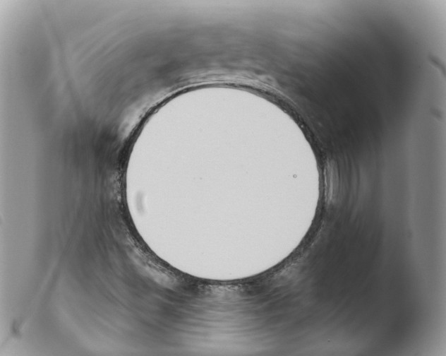 X0000103911501200810171653