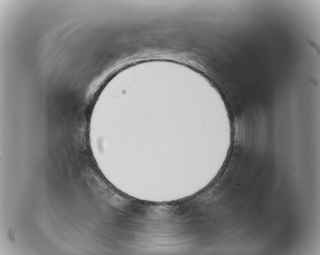 X0000103911502200810171653